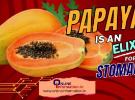 Papaya is an elixir for the stomach